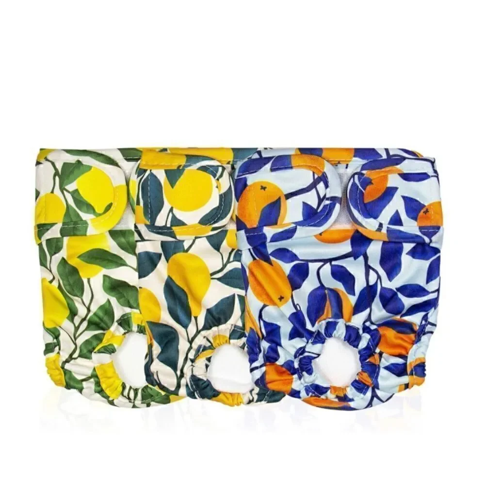 Pet Magasin Washable Female Dog Diapers, Botanical Fruit, 3 count, size Large